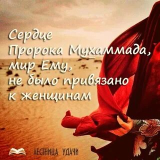 Пророк сердце