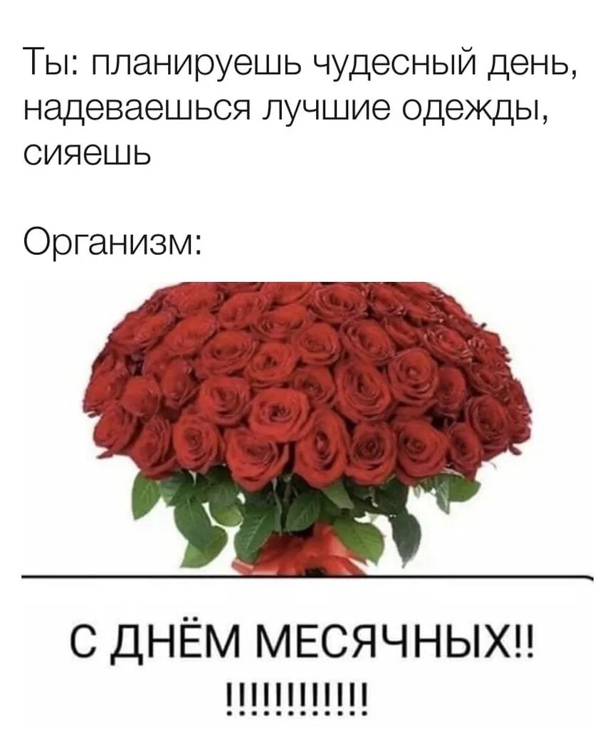 Мем с днем месячных ПМС приколы смешные (много фото)