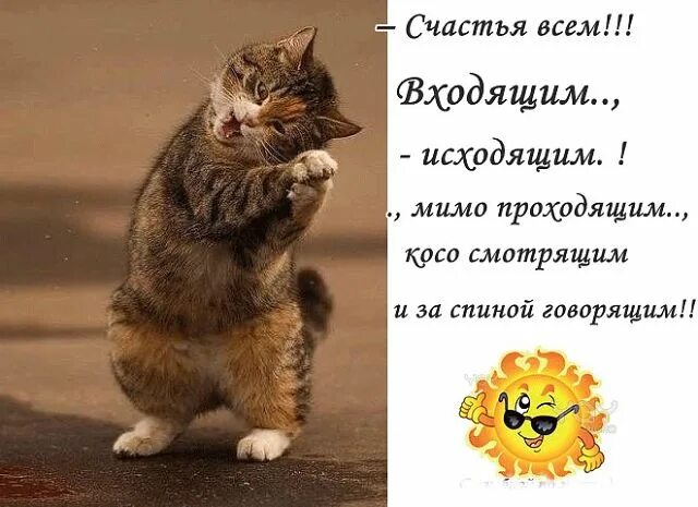 Пройду мимо стихи. Счастья всем входящим. счастья всем входящим исходящим. счастья всем мимо проходящим косо. мимо товарищи мимо.