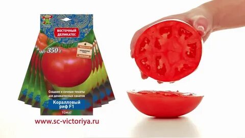 Томат коралловый отзывы