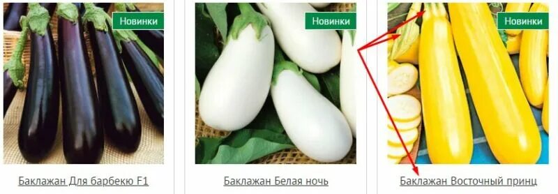 баклажан клоринда f1. баклажан блэк бьюти. семко баклажан алексеевский. семена баклажан клоринда f1. баклажан сиреневый туман.