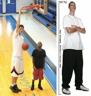 7 feet tall