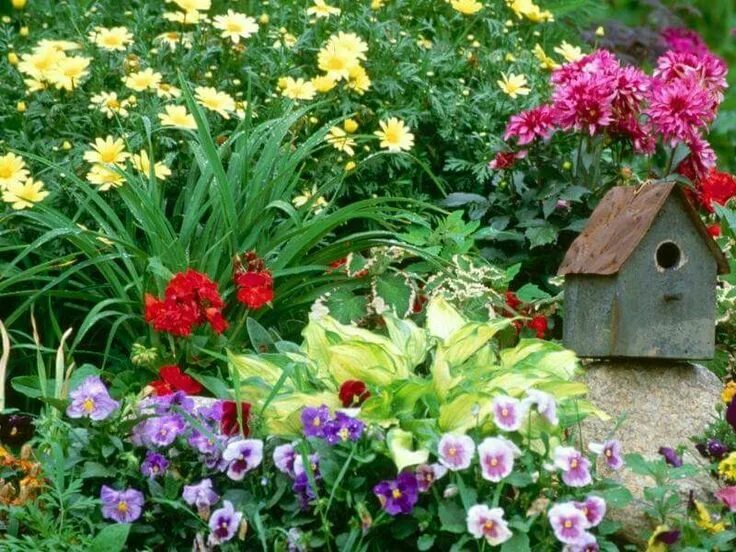 Вся информация о садовом центрое Britani Garden