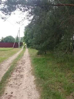 Погода московский область можайский