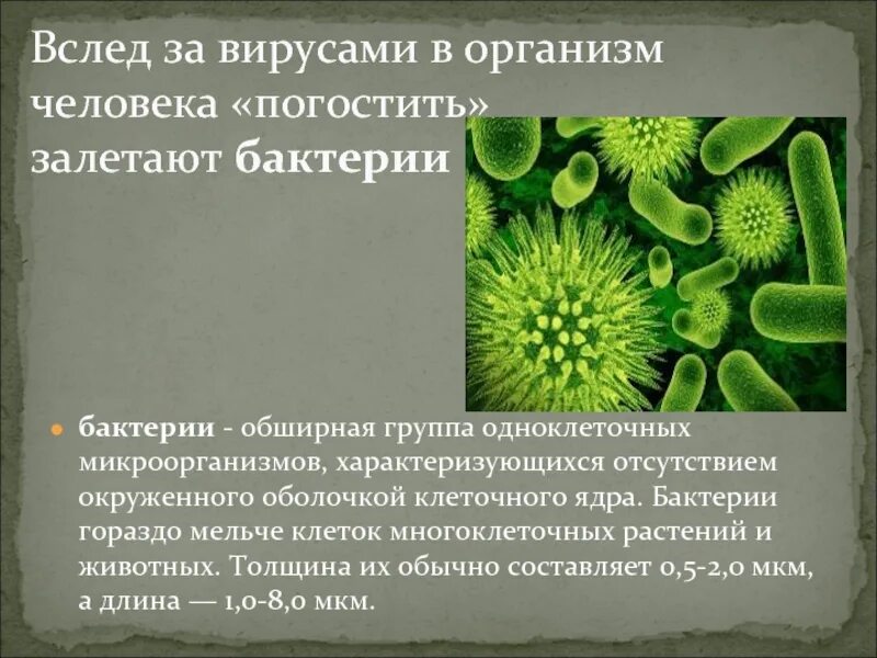 Вирусы относятся к форме жизни. Одноклеточные вирусы. Одноклеточные и многоклеточные бактерии. Вирус в организме. Многоклеточные организмы бактерии.