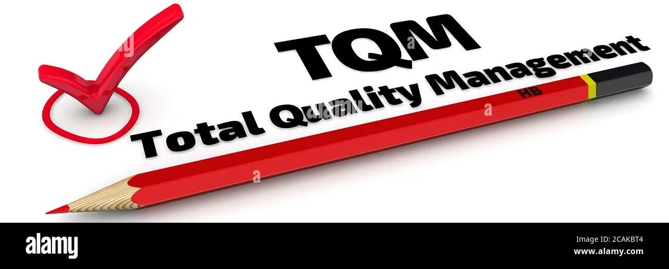 Total quality. TQM всеобщее управление качеством. Всеобщий менеджмент качества TQM. Тотальный менеджмент качества. Всеобщее управление качеством картинки.