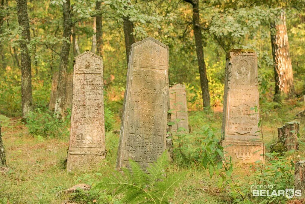 Кладбище южное гомель. Еврейские захоронения в гомеле. Древние кладбища гомеля. Гомельское кладбище с жилыми домами. Еврейские захоронения в гомеле.
