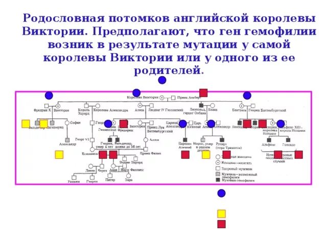 Родословная по гемофилии королевы Виктории. Родословная английской королевы Виктории. Родословная королевы Виктории Великобритания. Родословная гемофилии