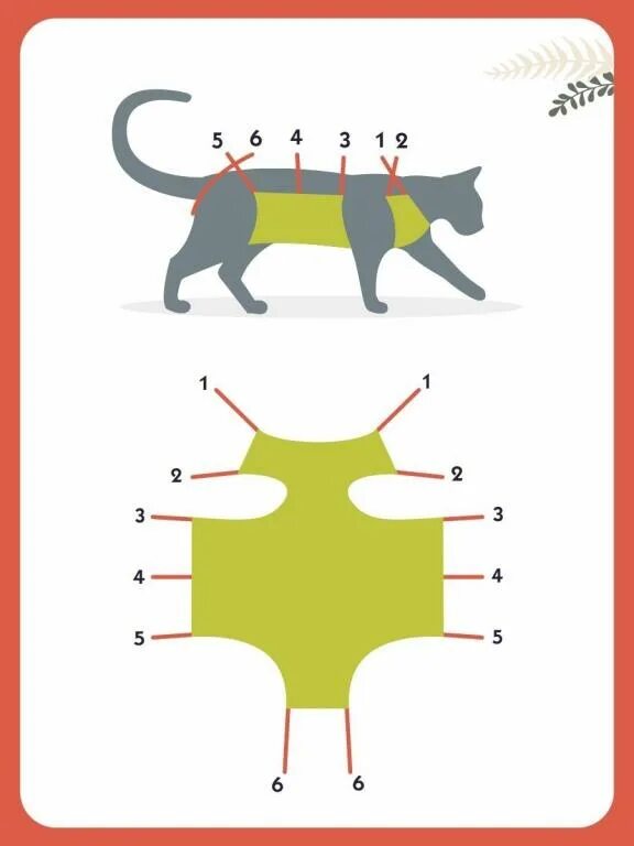 Попона для кошки. Схема завязывания попоны для кошки. Попона для собаки после стерилизации. Попона для кошки на завязках. Как завязывать попону кошке после операции