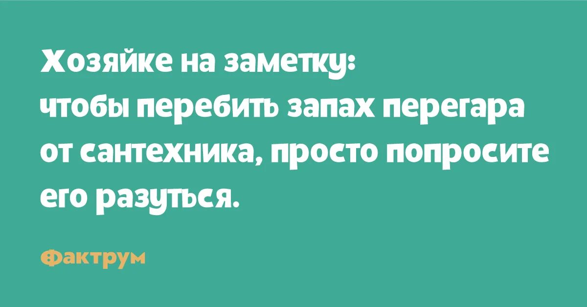 Чем перебить запах перегара. Что перебивает запах перегара. Как перебеть запах перега. Чем перебить аромат.