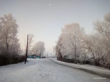 Шипуново сузунского новосибирской