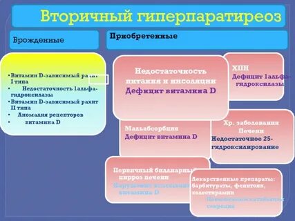 Врожденное и приобретенное развитие человека