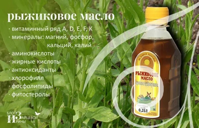 Рыжиковое масло. Рыжиковое масло полезные. Рыжиковое масло из чего. Чем полезно рыжиковое масло.