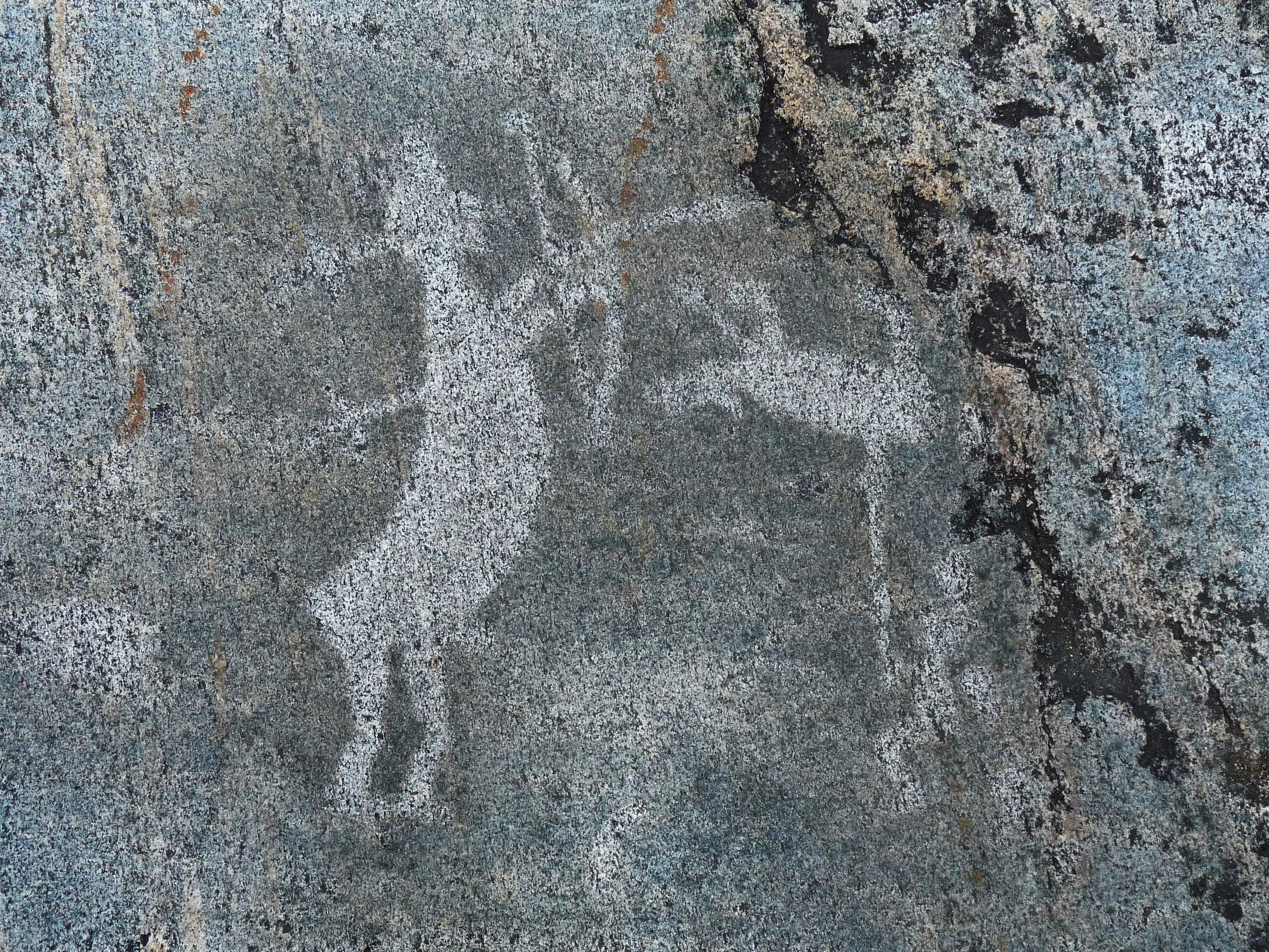 музей петроглифов в беломорске. онежские и беломорские петроглифы. беломорские петроглифы в карелии. какая птица на беломорских петроглифах. беломорские петроглифы в карелии.