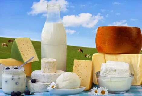 Предлагаем молочные продукты