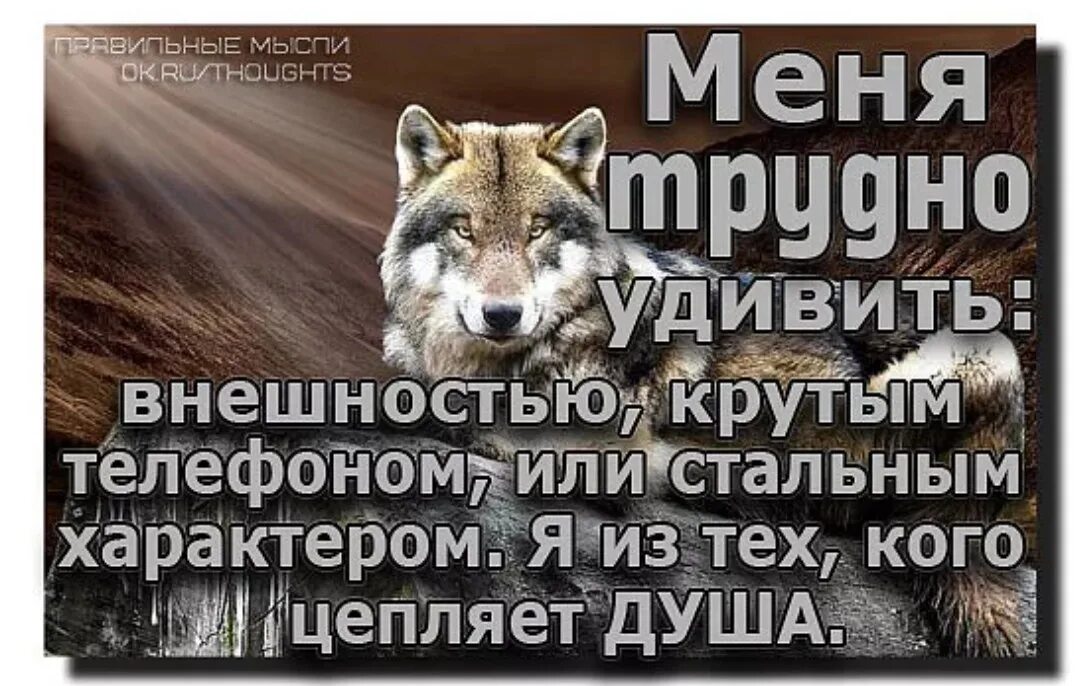 странные мемы. кому со мной сложно не мучайте. меня трудно удивить цитаты. я старомодна меня цепляет душа. меня можно удивить только любовью настоящей искренней без обмана.