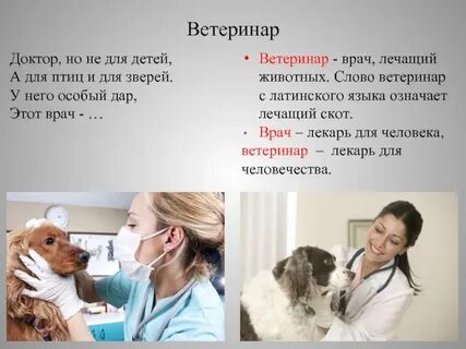 Ветеринар определение
