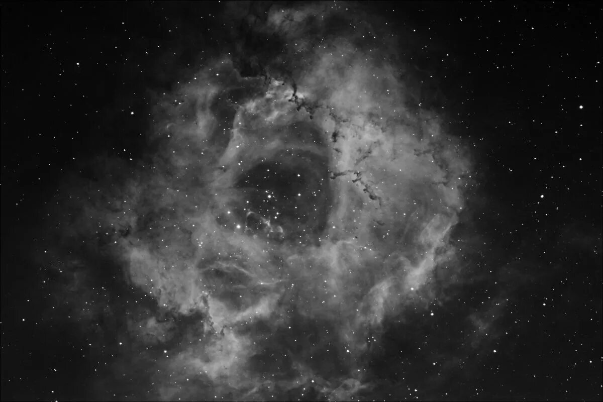 Космос черно желтый. Космос звезды. Черный космос. Серый космос. Туманность NGC 2237.
