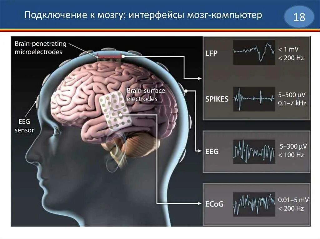 Центр управления мозгом. Мозг компьютера. Интерфейс мозг компьютер. Нейрокомпьютерный Интерфейс.