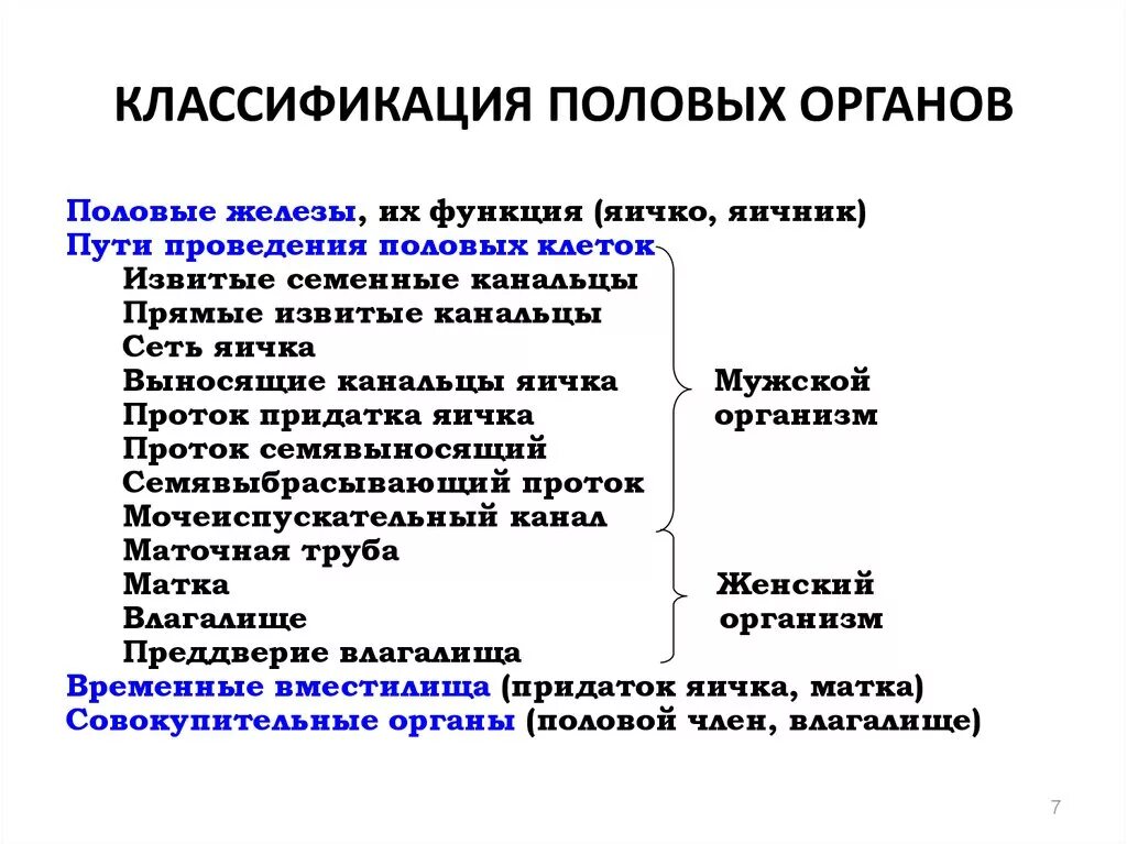 Классификация половых органов. Классификация женских половых органов. Классификация половых органов, их функции. Классификация половых клеток. Функции органов женской половой системы