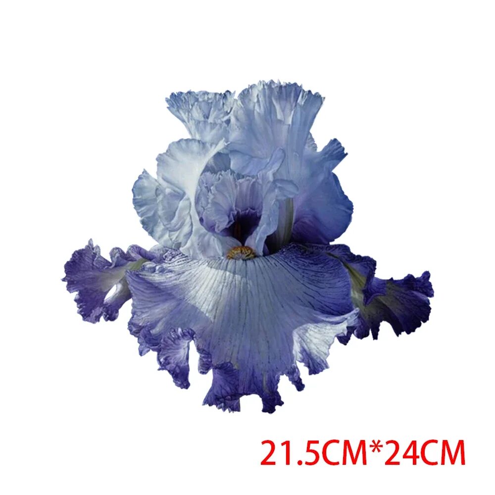 Файл iris png был выложен в интернете