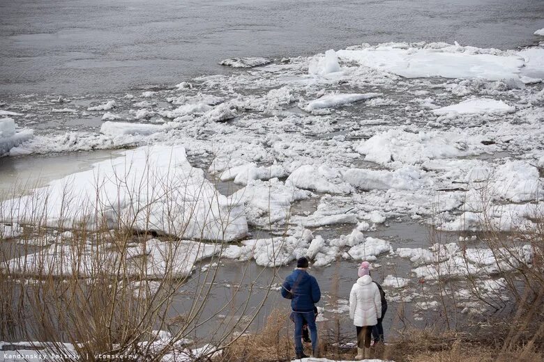 Прочитайте ледоход лед идет вышел на берег. Река Томь паводок. Ледоход весной. Весенний лед на реке.