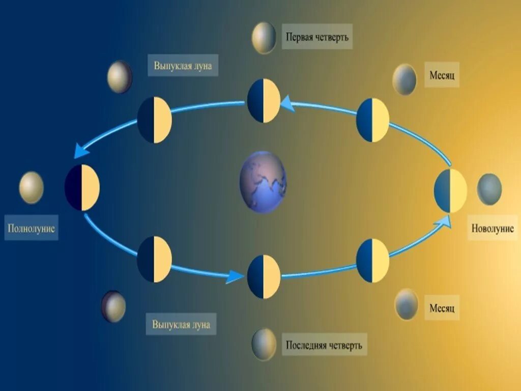 Фазы Луны. Движение и фазы Луны. Система земля Луна. Движение и фазы Луны астрономия. Moon system