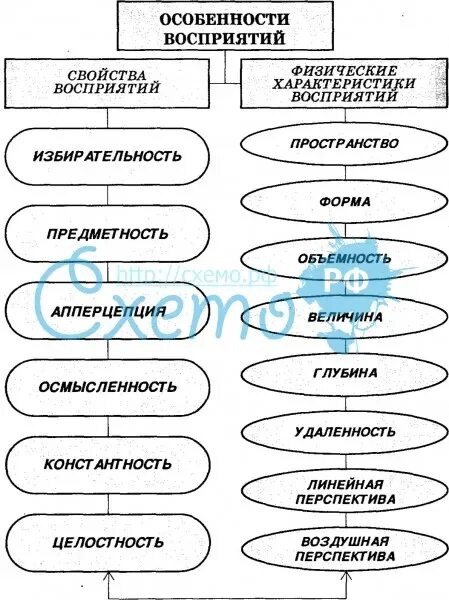 Особенности восприятия предложений. Схема восприятия в психологии. Особенности восприятия. Специфика восприятия в психологии. Перцептивные схемы в психологии.