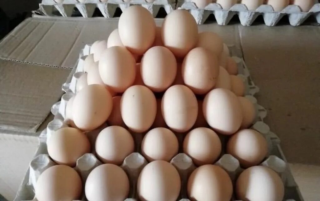 Яйцо оптом от производителя. Яйцо кремовое. Фермерские яйца. Яйца кремового цвета. Пирамида из яиц.