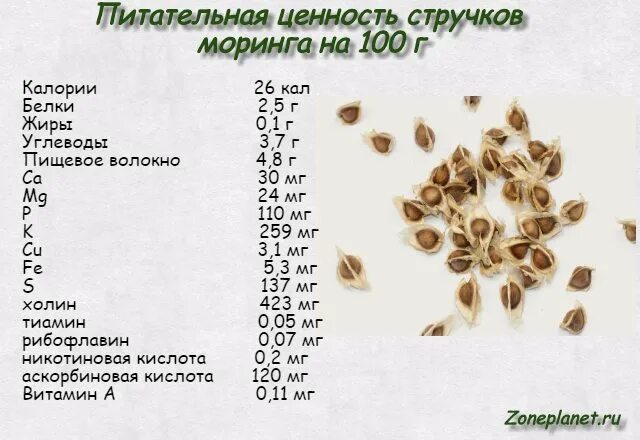 Пищевая ценность семян. Семена моринги. Моринга стручок. Моринга плоды. Пищевая ценность семена.