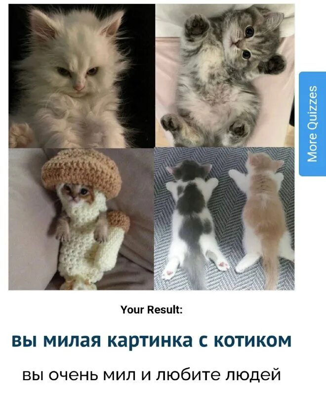 какое ты домашнее животное uquiz