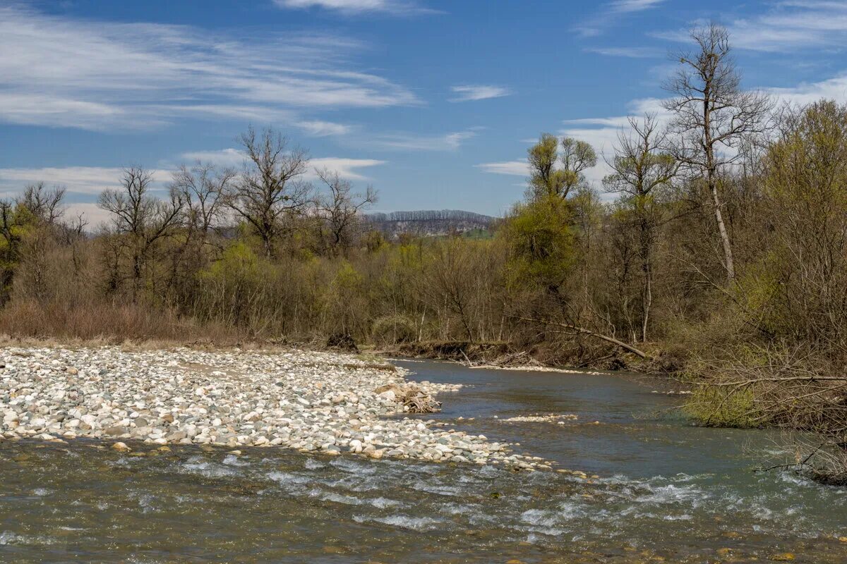 Ищу работу в лабинске. Требуется грузчик объявление. Центр занятости лабинск начальник. Ярмарка вакансий для студентов. Ищу работу в лабинске.