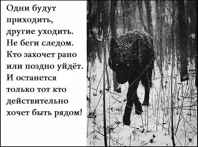 Есть люди приходящие и уходящие. Одни уходят другие приходят цитаты. Приходящие уходящие стихотворение. Рано или поздно все уходят. Одни люди уходят другие приходят.