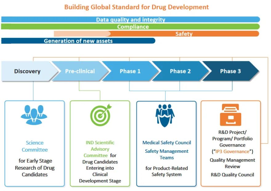Stages of drug Development. Phase of drug Development. Drug Development process. КБД процесс.