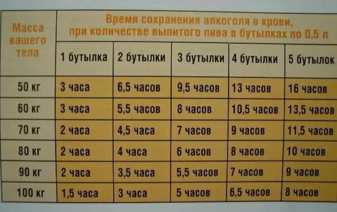 Сколько выходит из организма бутылка. Сколько выветривается пиво 1.5 литров. Через сколько выветривается пиво. Сколько выветривается пиво из организма.