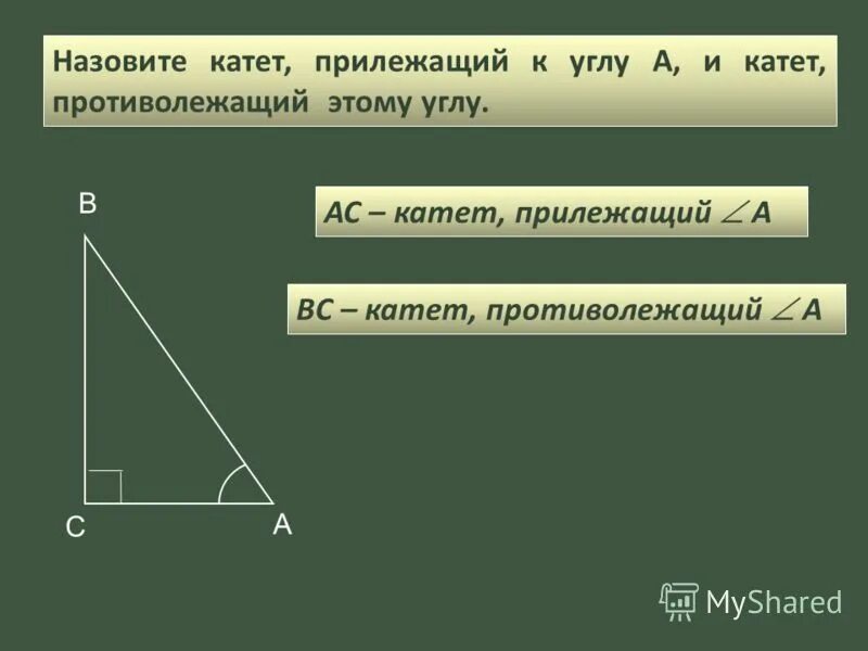 Какой угол прилежащий. Угол прилежащий к стороне. Прилежащие и противолежащие катеты. Катет противолежащий углу.