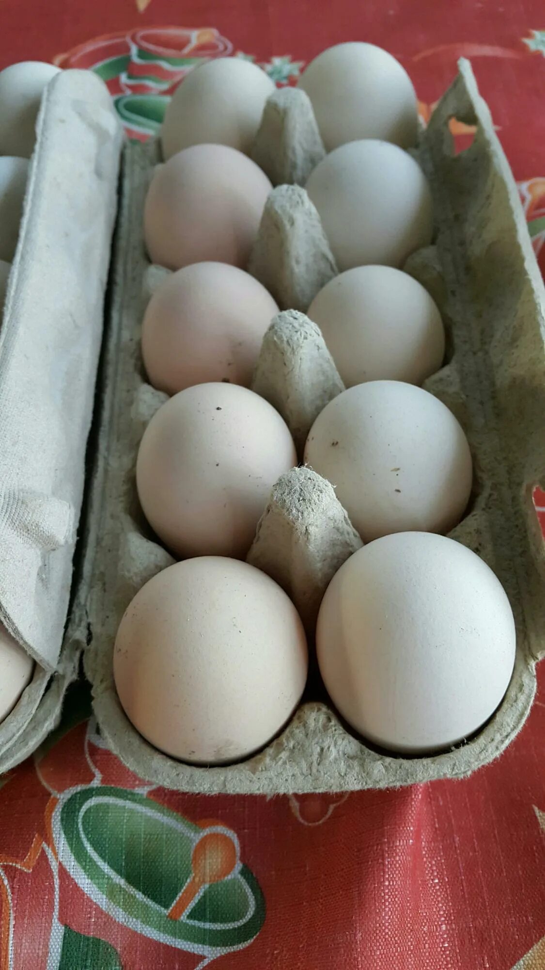 Сколько стоит десяток гусиных яиц. Домашние яйца. Яйцо куриное. Домашние куриные яйца. Яйцо домашнее куриное.