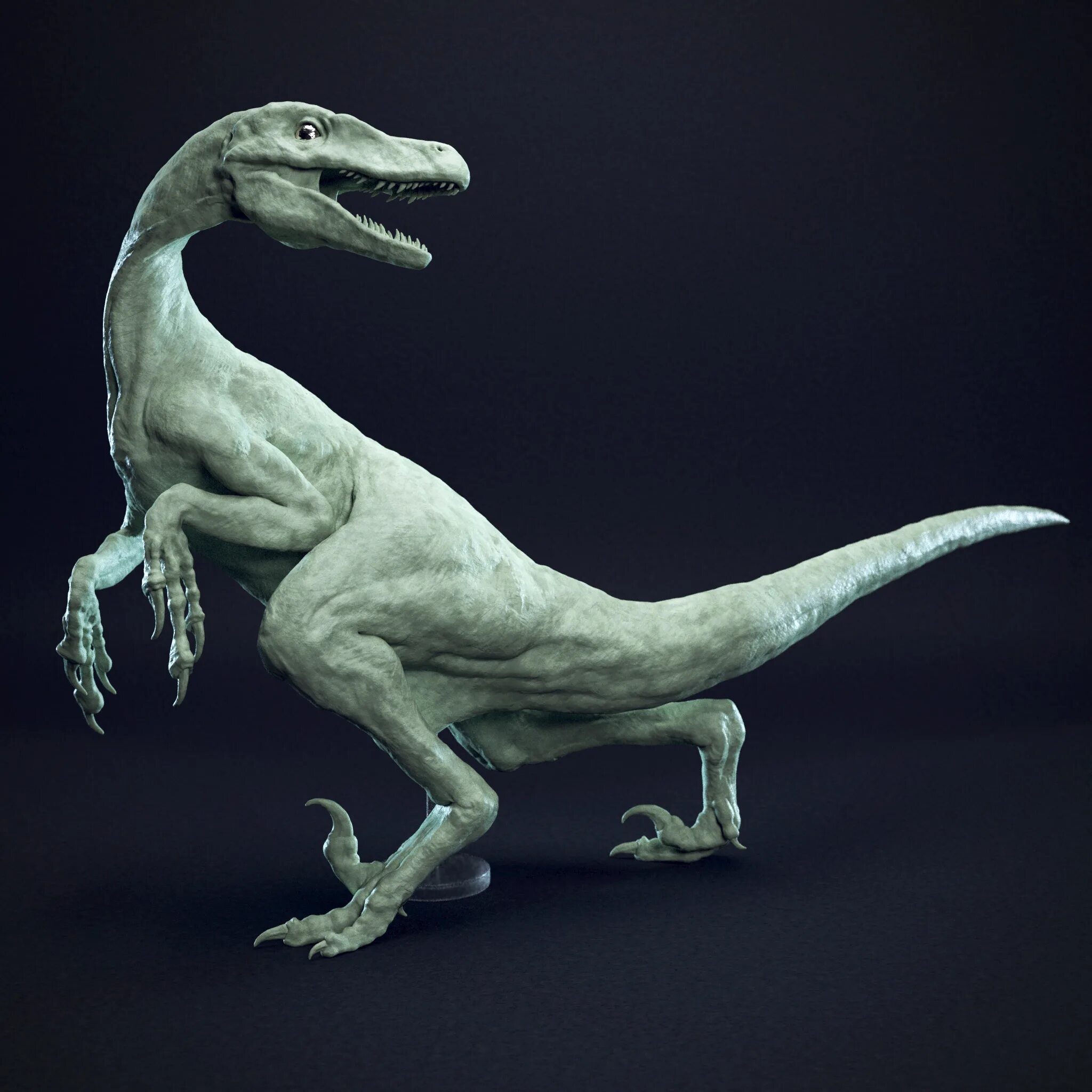 Динозавр велоцераптор. Velociraptor mongoliensis. Velociraptor mongoliensis Skeleton. Velociraptor mongoliensis скелет. Скелет Велоцираптора Блю.
