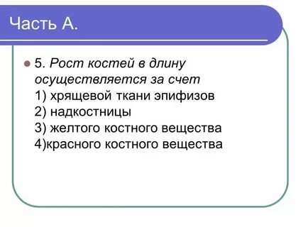 Рост кости в длину обеспечивается