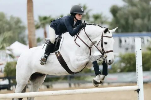Equestrian перевод
