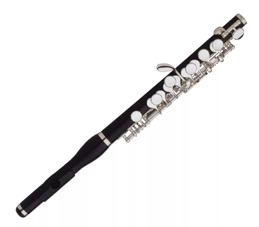 Флейта хорошая. Флейта-Пикколо флейта. Флейта Пикколо. Eurofon m-1102 флейта-Пикколо. Флейта Пикколо музыкальный инструмент.