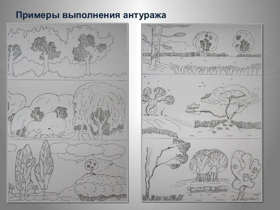 Запись антураж. Антураж стаффаж деревья. примеры выполнения антуража. антураж стаффаж животные. этапы графического процесса разработки антуража и стаффажа.