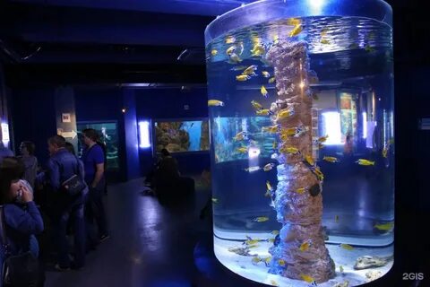 Планета нептун ул марата 86 фото