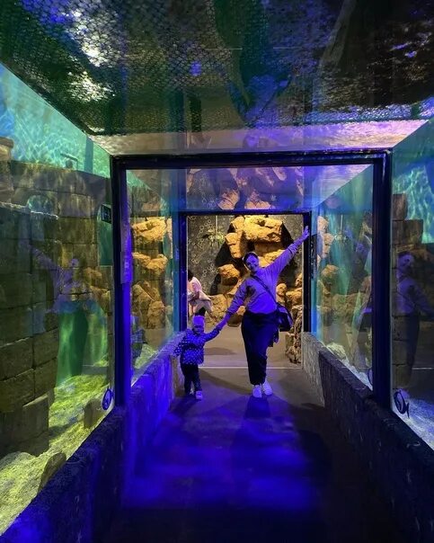 Океанариум, oceanarium, City of Kazan, Mazita Gafuri Street, 46 Yandex Maps