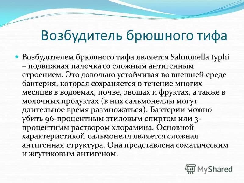 Возбудитель брюшного тифа. Чистую культуру возбудителя брюшного тифа впервые получил. Salmonella typhi строение. Этиология брюшного тифа паратифов а и в. Брюшной тиф таксономия.