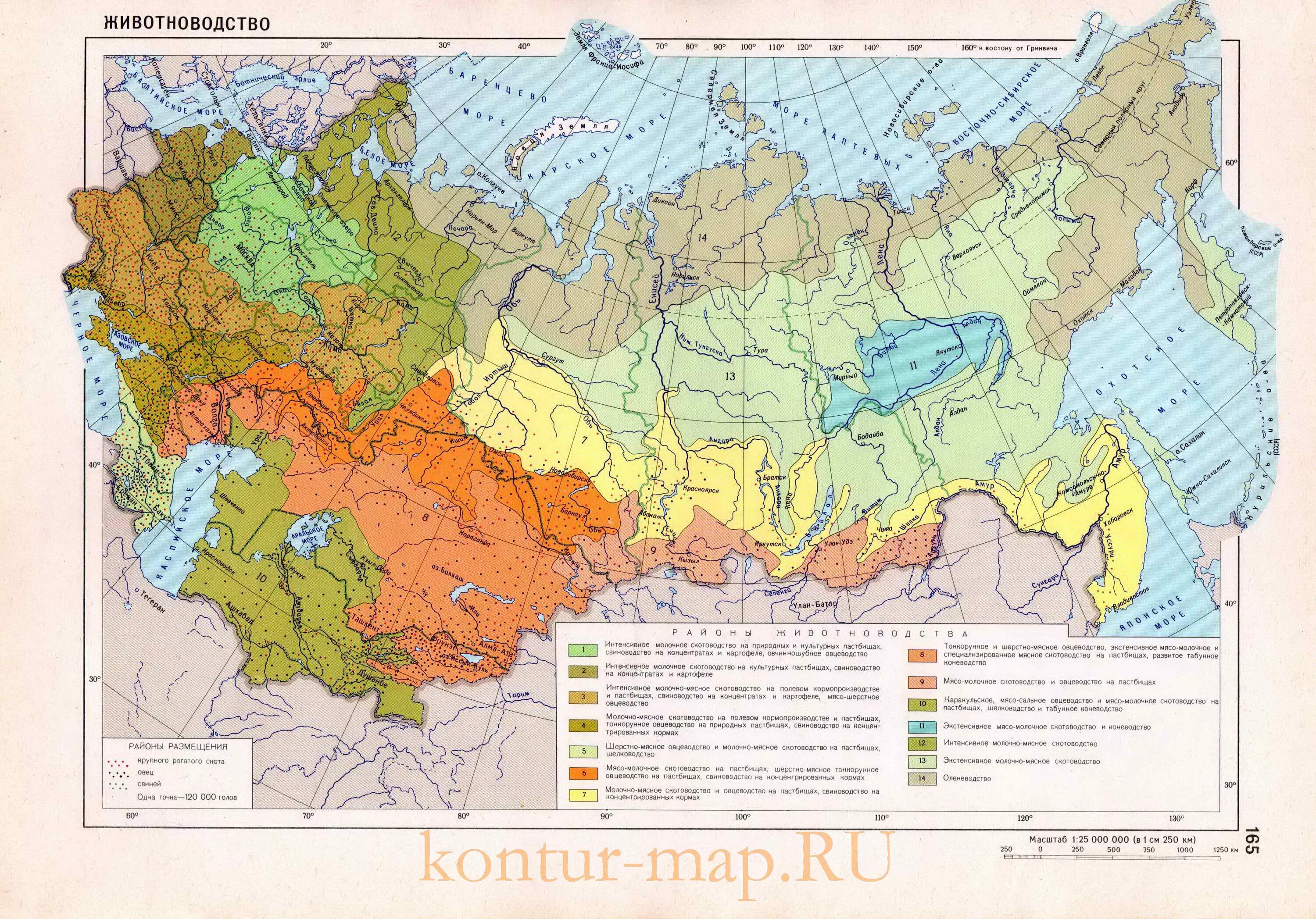 Карта сельскохозяйственных районов россии. Районы животноводства в России на карте. Животноводство на карте России география 9 класс. Основные районы животноводства в России на карте. Молочное животноводство в России карта.