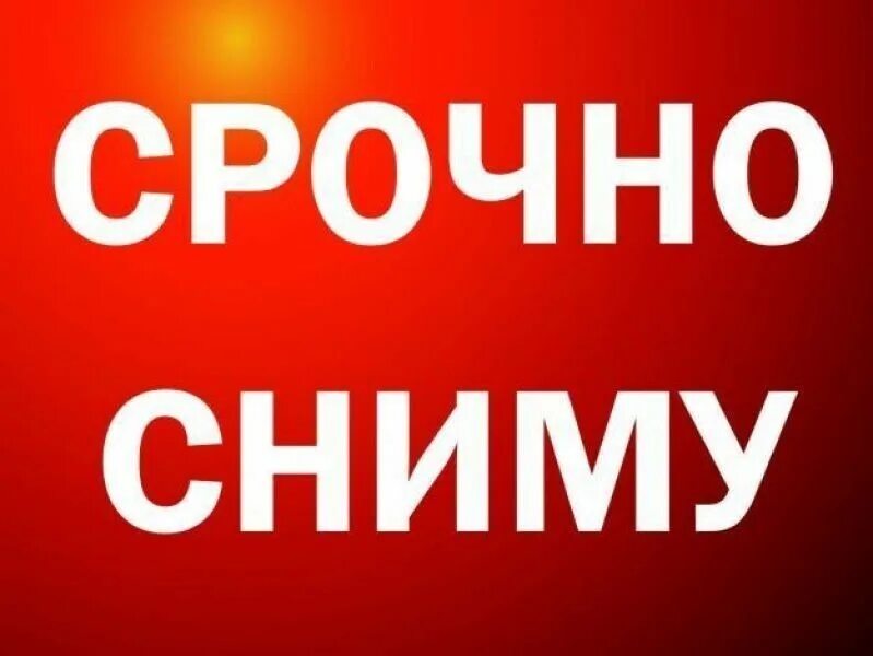 Срочно сниму квартиру картинка. Сниму. Сниму. Ищу жилье. Срочно сниму квартиру на длительный срок.