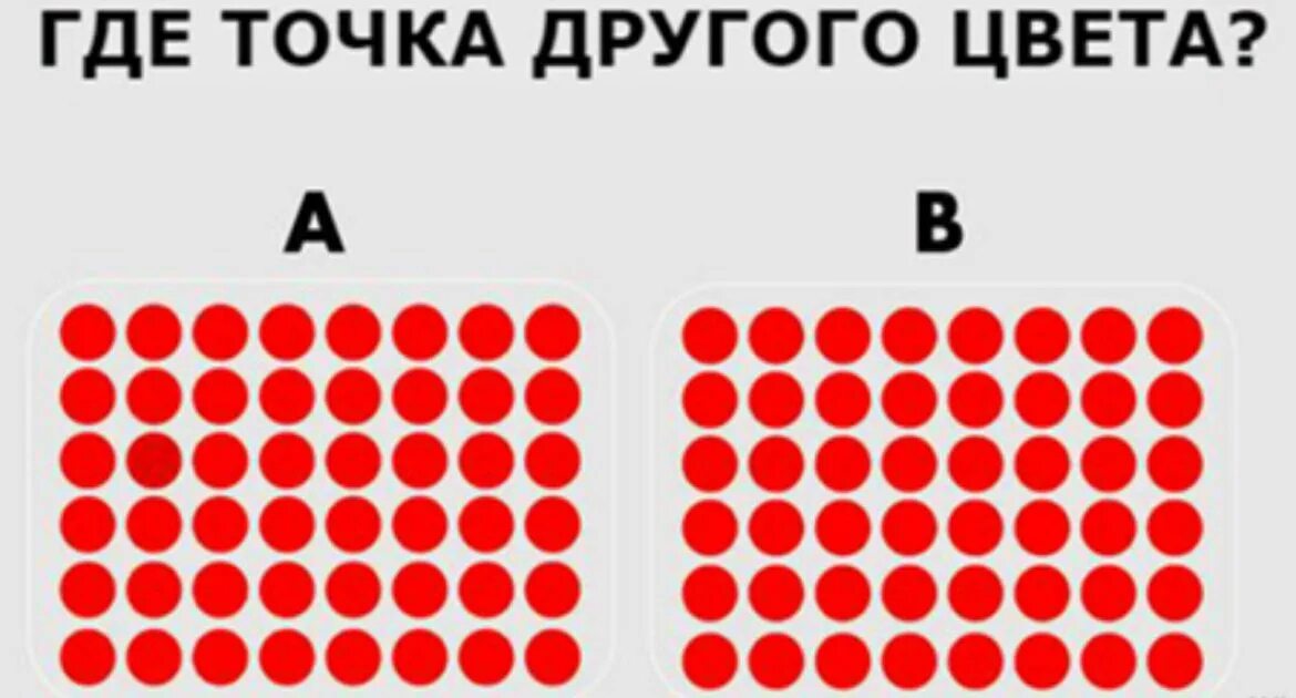 Тест с точками на зрение. Тест на внимание. Тест на зрение и внимательность. Тестна внемательгность. Тестна внимательность.