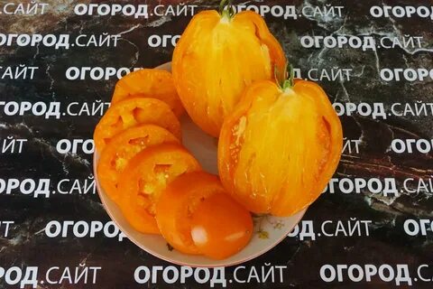 Томат минусинский стакан отзывы фото урожайность