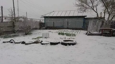 Погода в славянке саратовская область